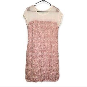 Sundance Angelica Embroidered Pink & Cream Floral Dress Size Small